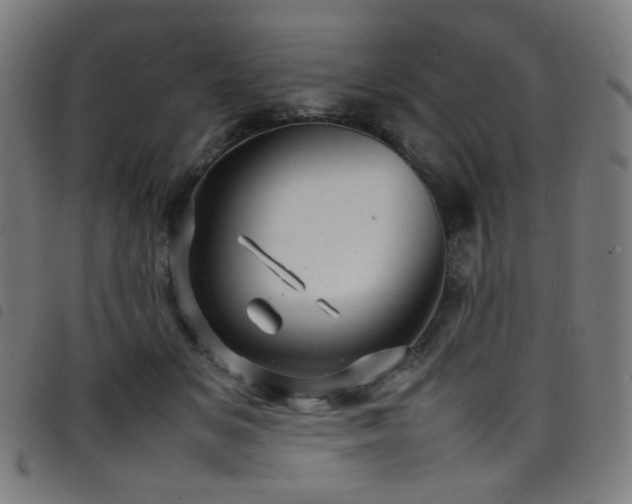 X0000098220509200804241347