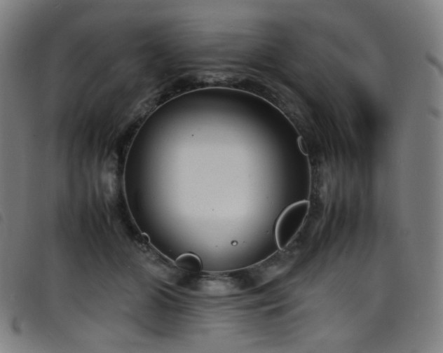 X0000098220510200804241347