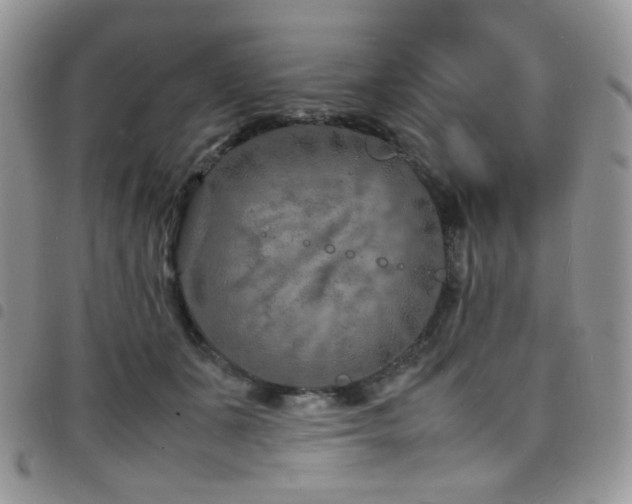 X0000098220511200804241347