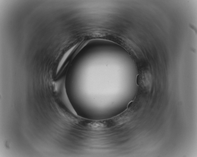 X0000098220512200804241347