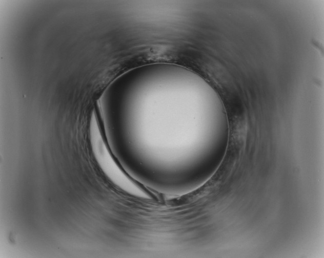 X0000098220513200804241347