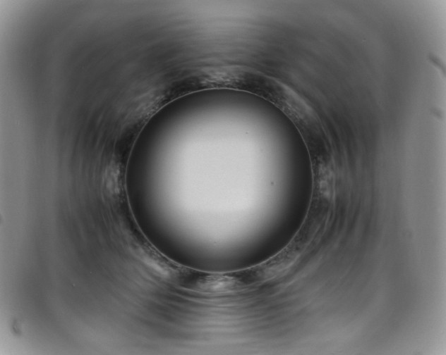X0000098220514200804241347