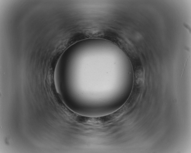 X0000098220515200804241347