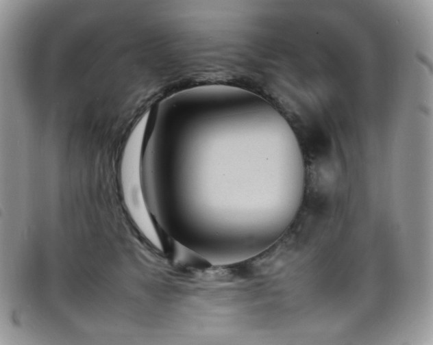 X0000098220517200804241347