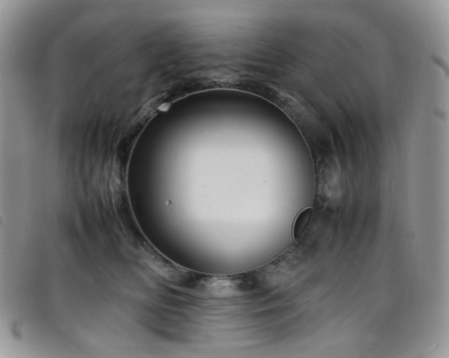 X0000098220518200804241347