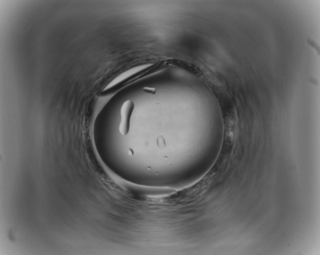 X0000098220519200804241347