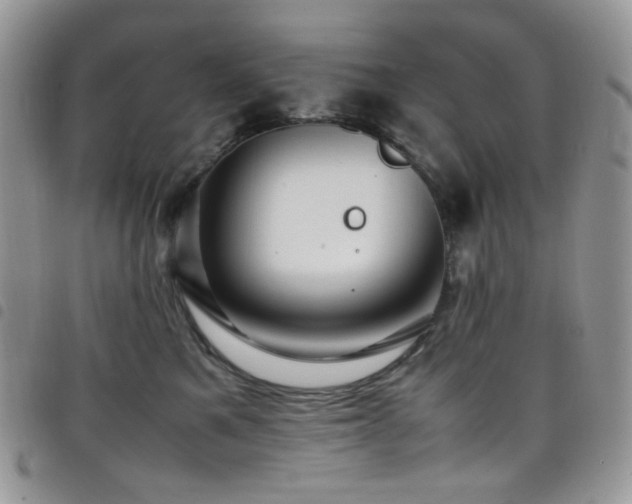 X0000098220521200804241347