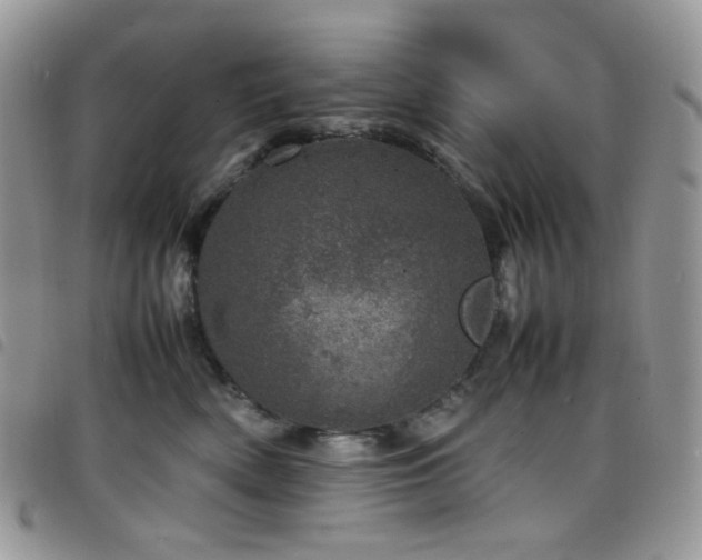 X0000098220522200804241347