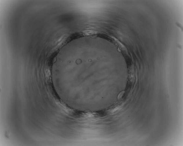 X0000098220523200804241347