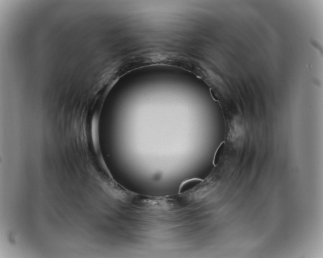 X0000098220524200804241347