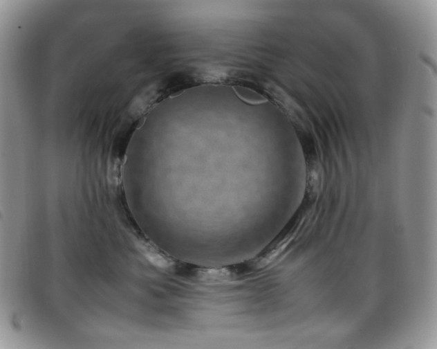 X0000098220525200804241347