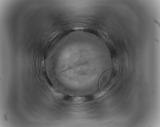 X0000098220527200804241347
