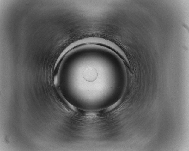 X0000098220528200804241346
