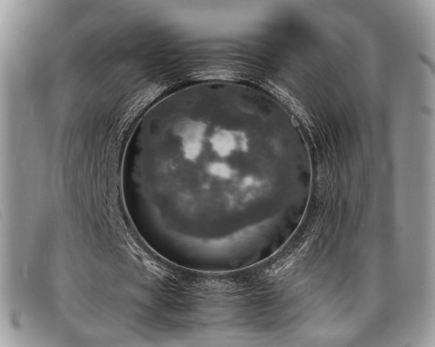 X0000098220529200804241346