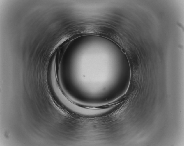 X0000098220530200804241346