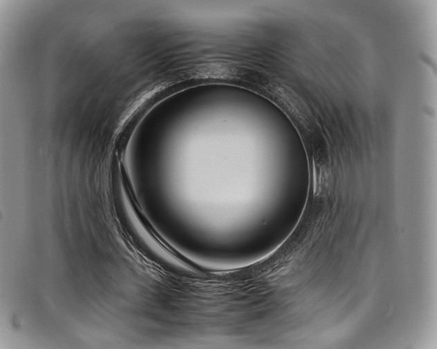 X0000098220531200804241346