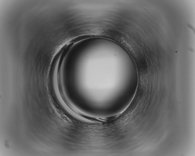 X0000098220532200804241346