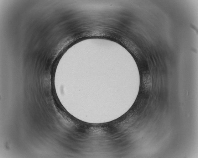 X0000098220534200804241346