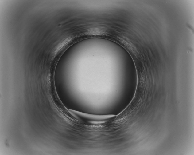 X0000098220535200804241346