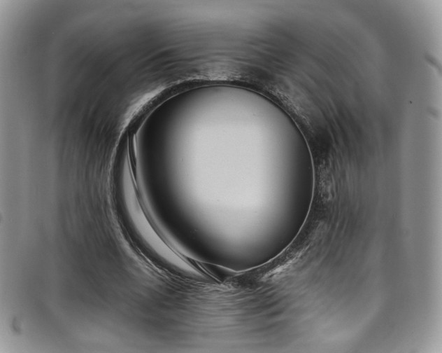 X0000098220536200804241346
