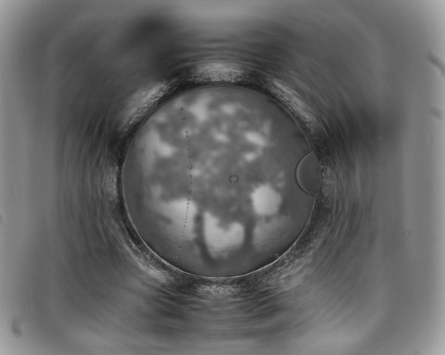 X0000098220537200804241346