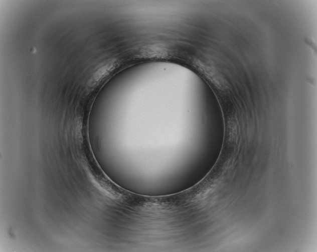 X0000098220538200804241346
