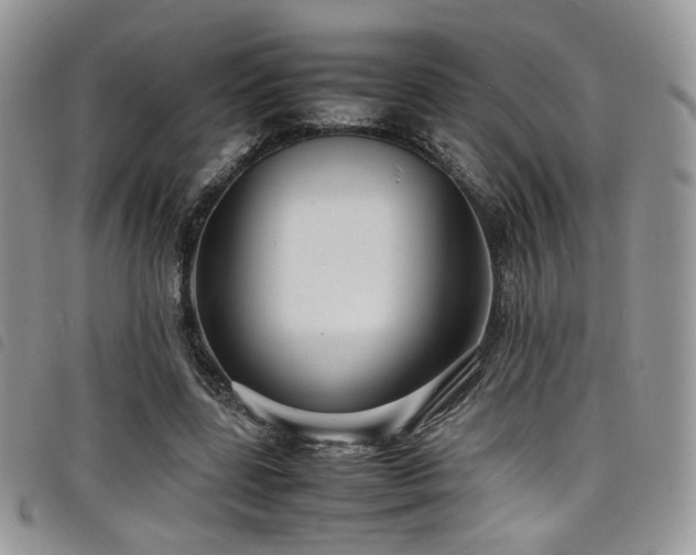 X0000098220539200804241346