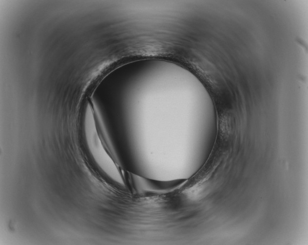 X0000098220540200804241346