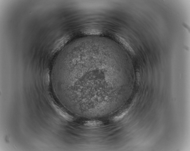 X0000098220541200804241346