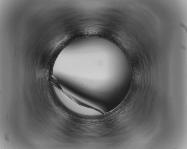 X0000098220543200804241346
