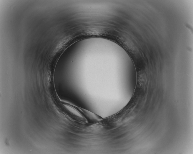 X0000098220544200804241346