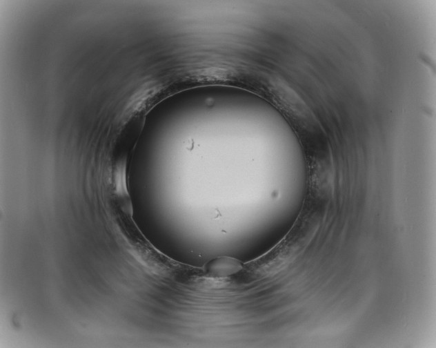 X0000098220548200804241346
