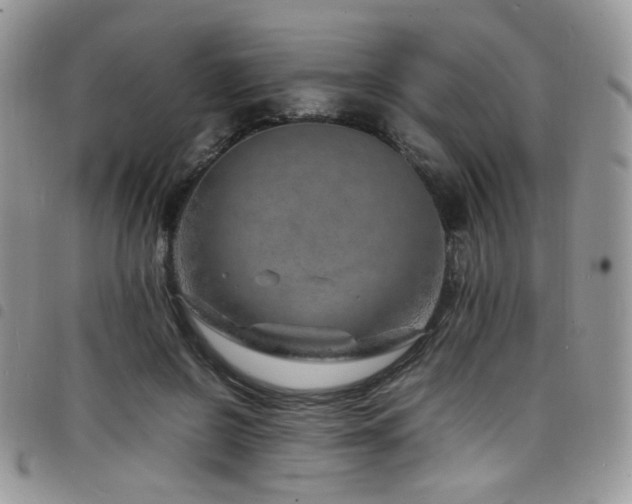X0000098220550200804241346