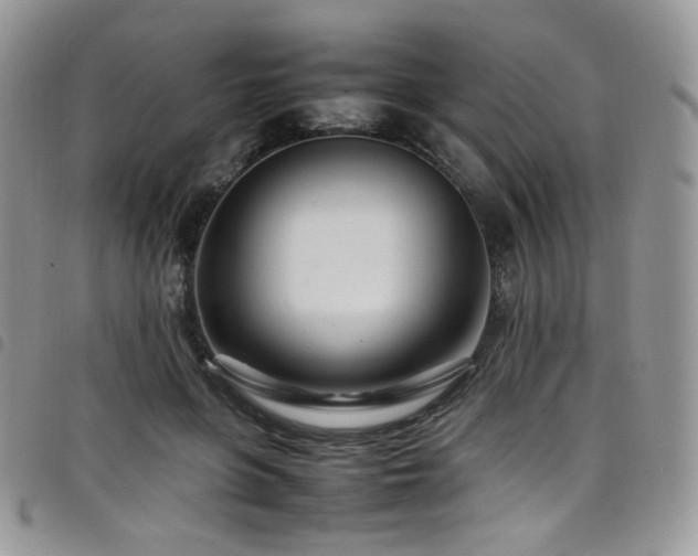 X0000098220551200804241346
