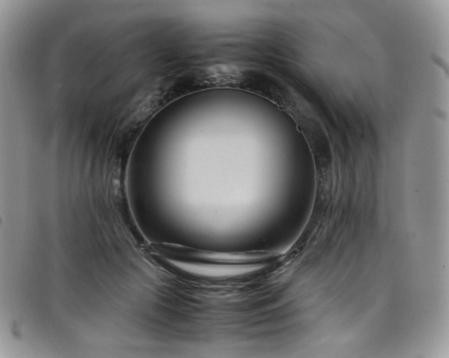 X0000098220553200804241346