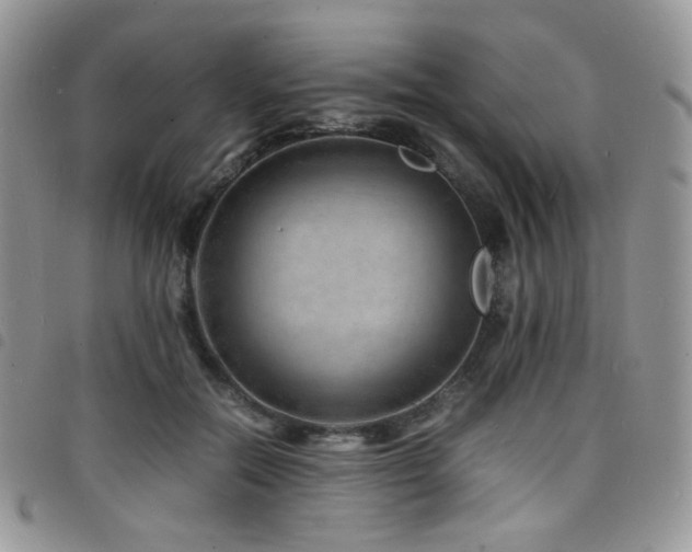 X0000098220554200804241346