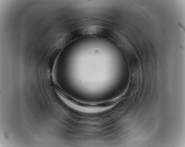 X0000098220555200804241346