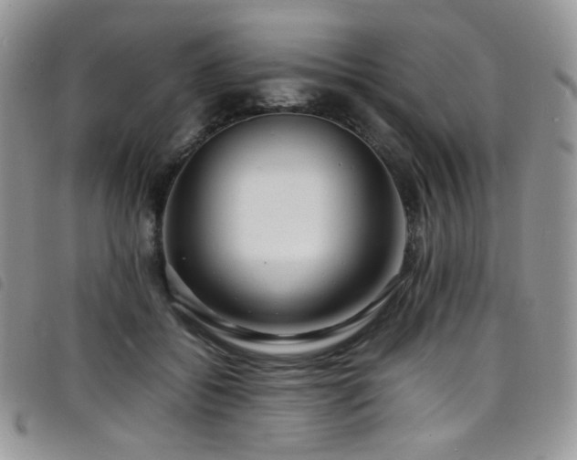 X0000098220556200804241346