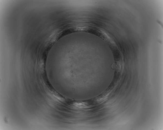 X0000098220557200804241346