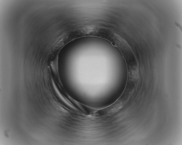 X0000098220558200804241346