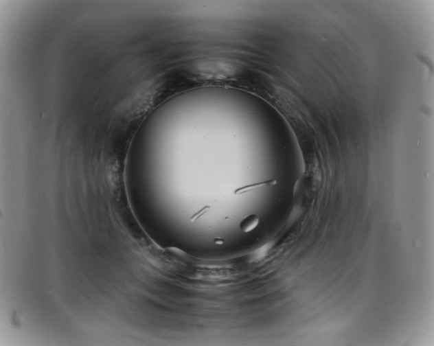 X0000098220559200804241346