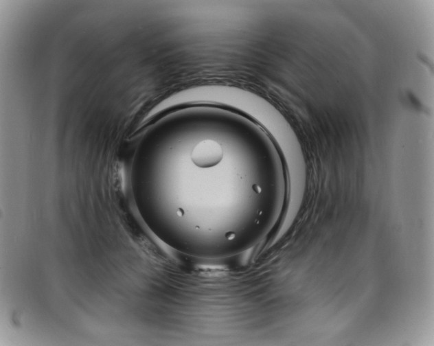 X0000098220560200804241346