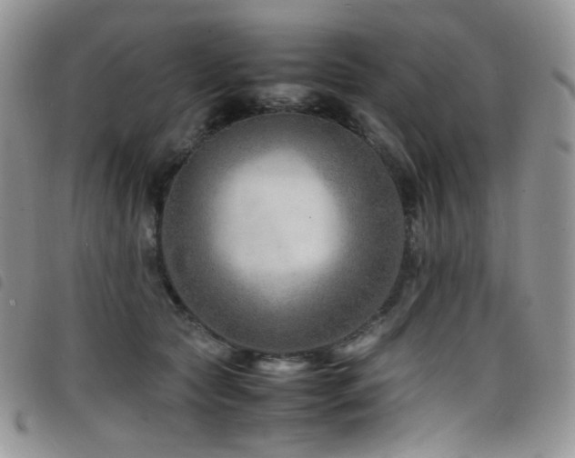 X0000098220561200804241346