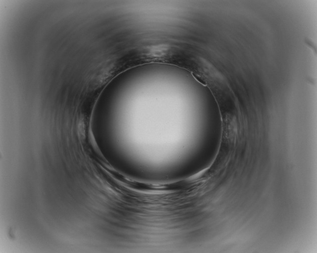 X0000098220562200804241346