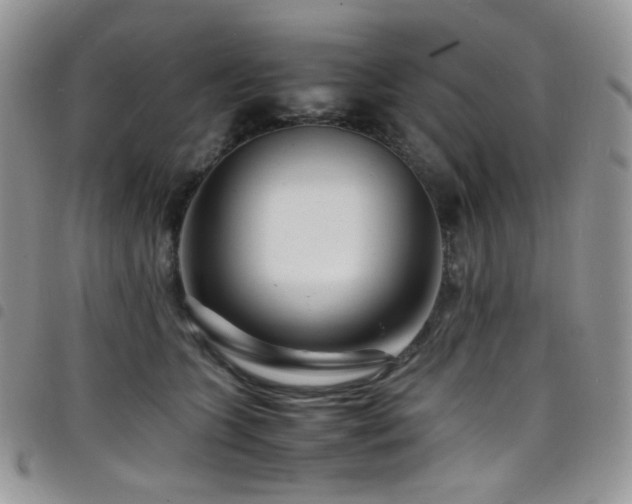 X0000098220563200804241346