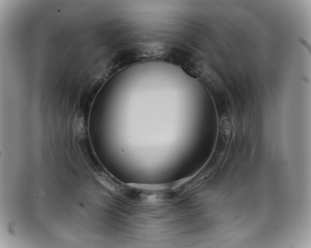 X0000098220564200804241346