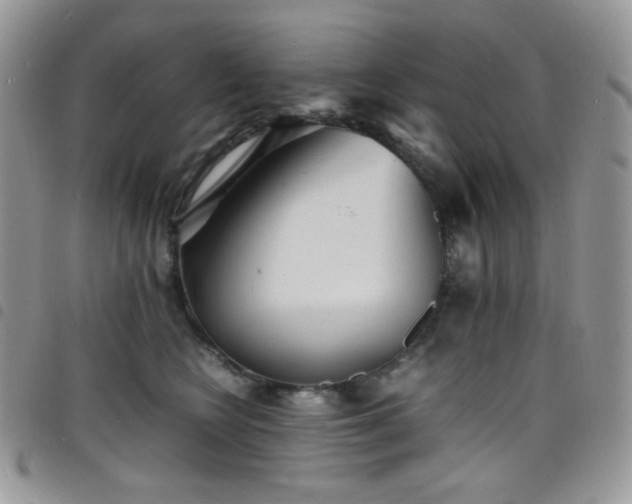 X0000098220566200804241346