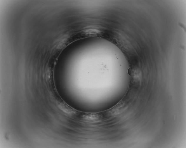 X0000098220567200804241346