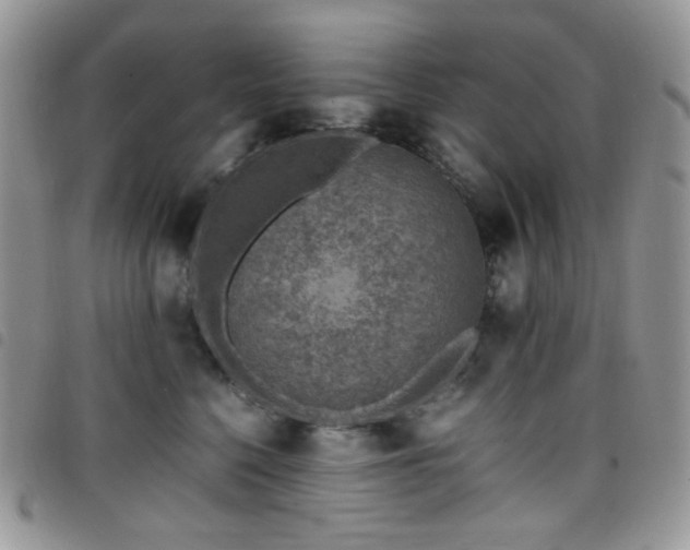 X0000098220568200804241346