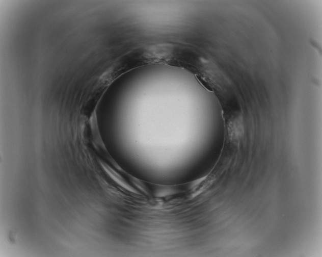 X0000098220570200804241346